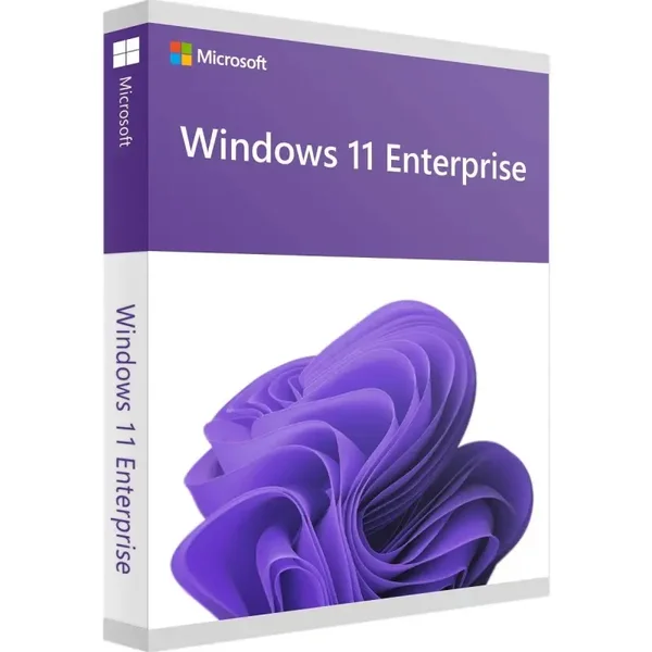 Windows 11 Enterprise LTSC 2024, only Key