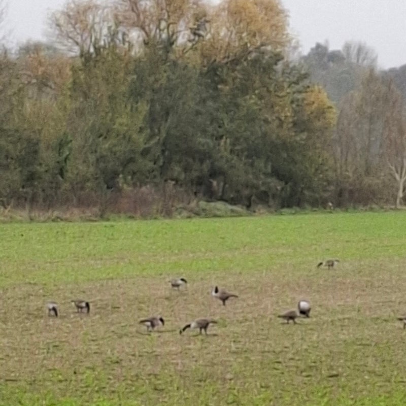 20241031_131511-standard.jpg