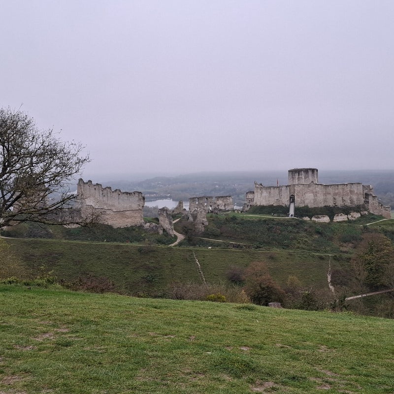 20241101_164611-standard.jpg