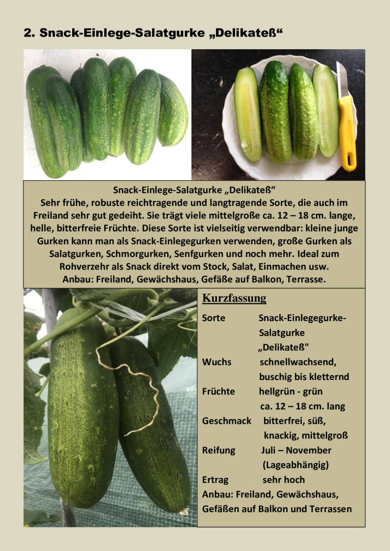 2-snack-einlege-salatgurke-delikate-standard-yjkvav.jpg
