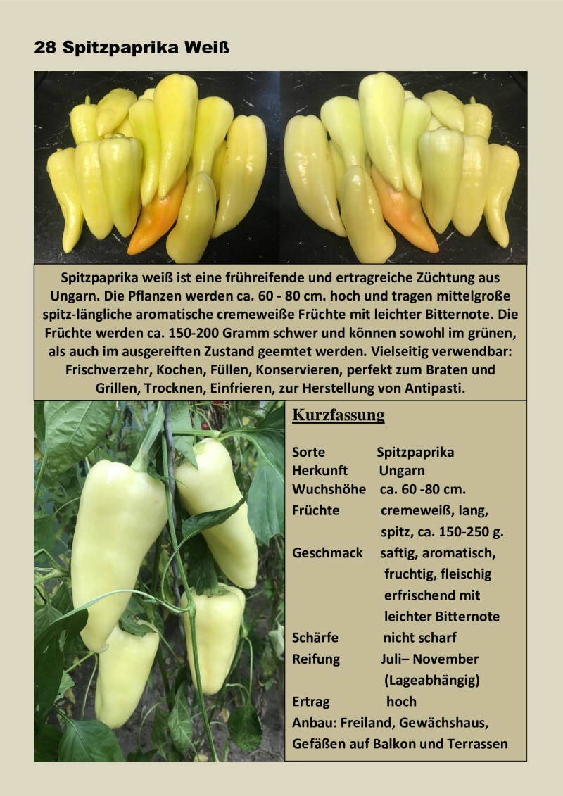 28-spitzpaprika-wei-standard-vhdjry.jpg