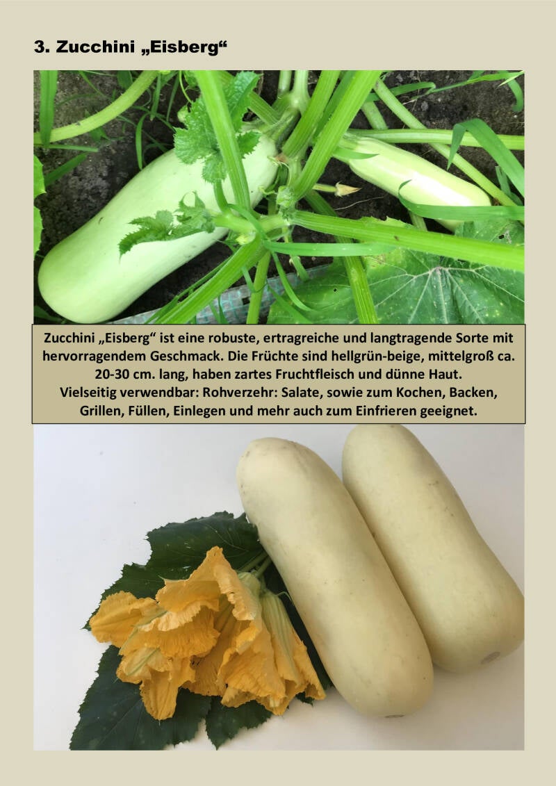 3-zucchini-eisberg-standard.jpg