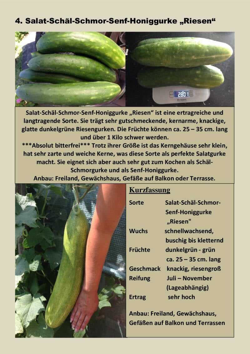 4-riesen-salat-sch-l-schmor-senfgurke-standard-tfr0d4.jpg