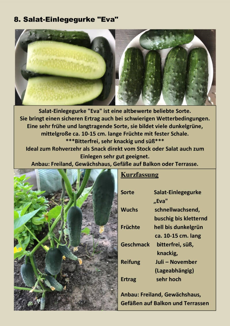 8-salat-einlegegurke-eva-standard.jpg