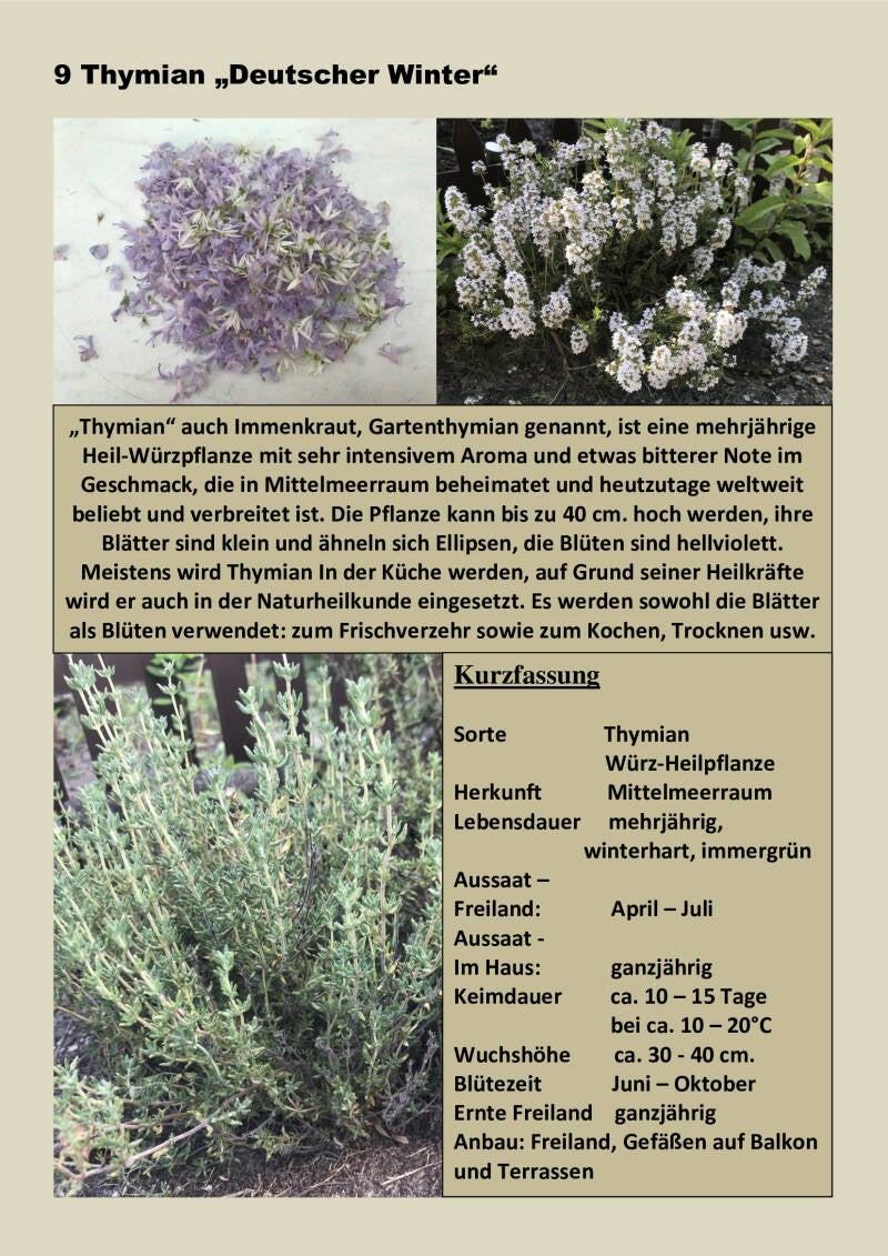 9-thymian-standard-smouze.jpg