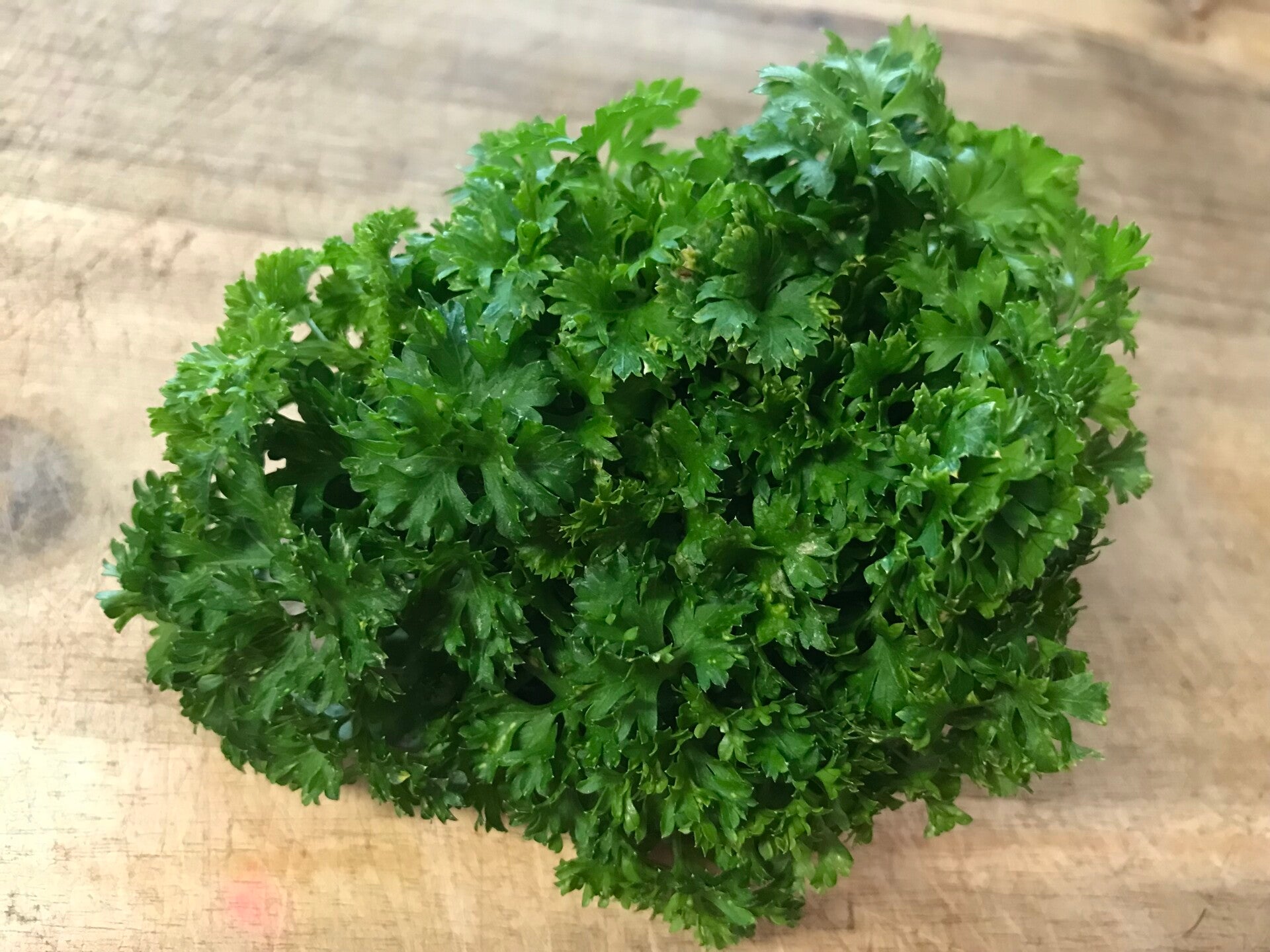 Petersilie „Mooskrause 2“