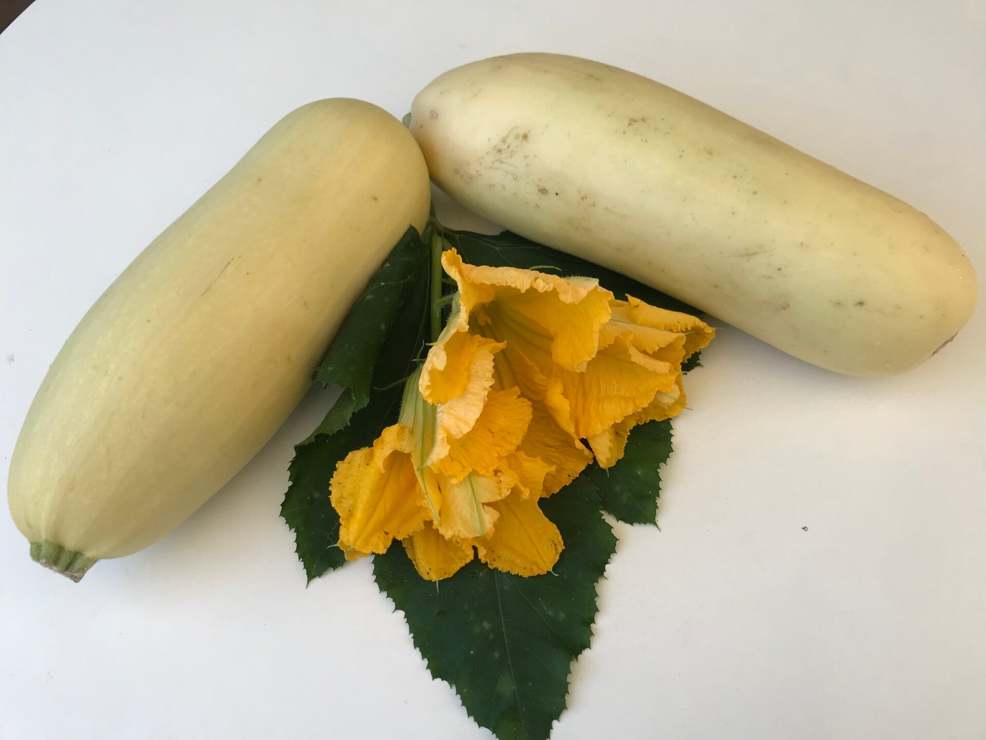 Zucchini Eisberg