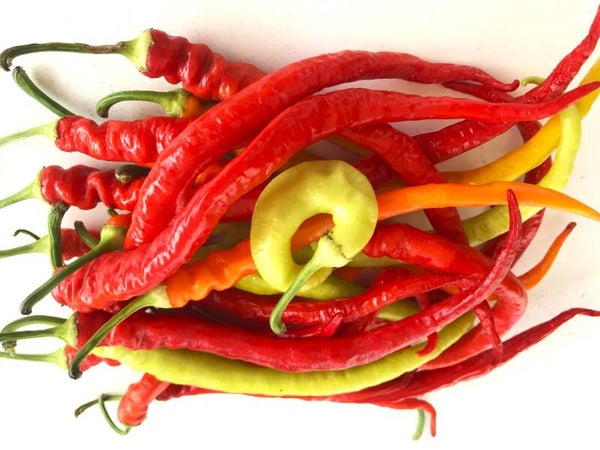 Süße Peperoni Lombardo