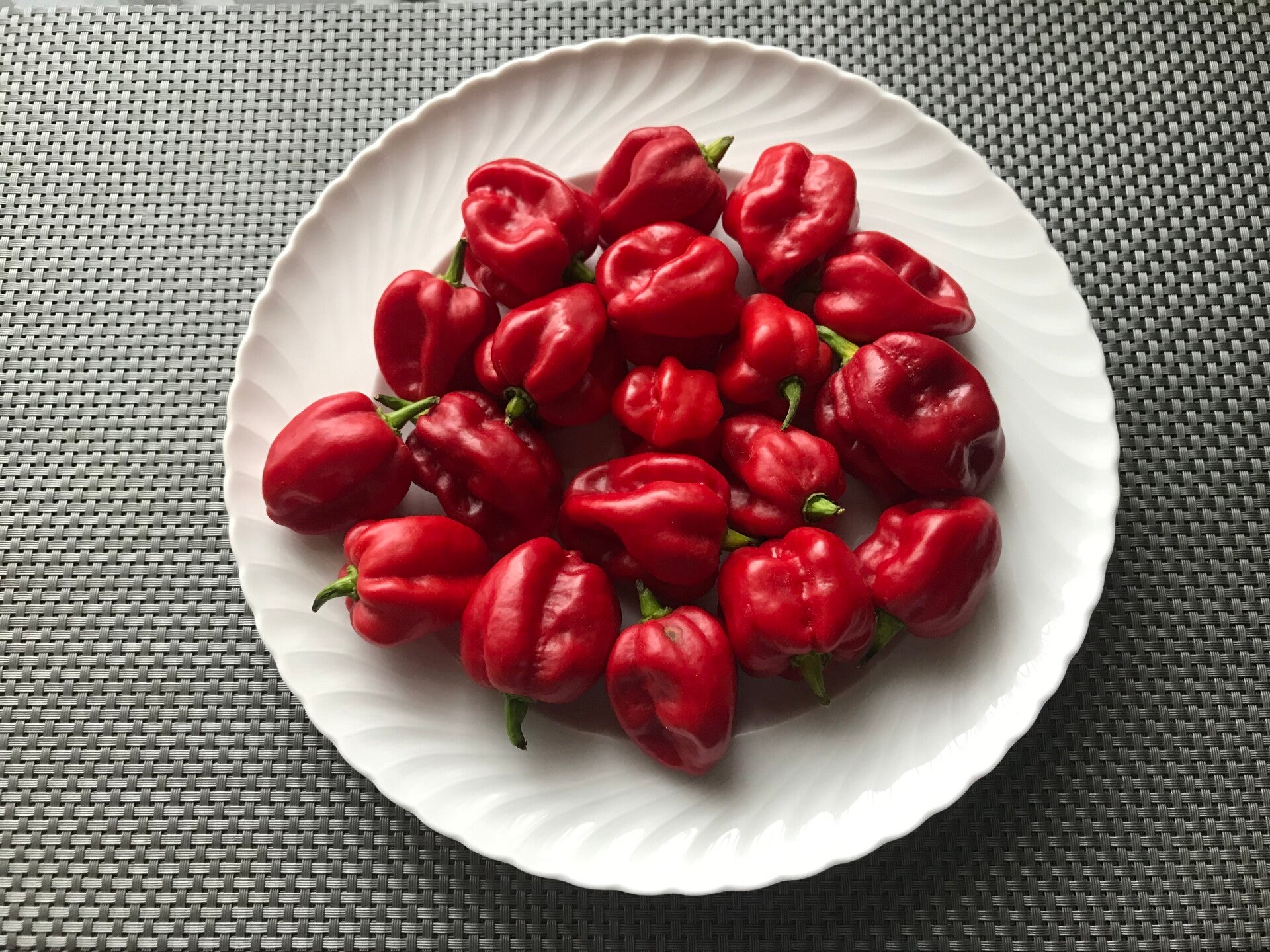 Habanero rot
