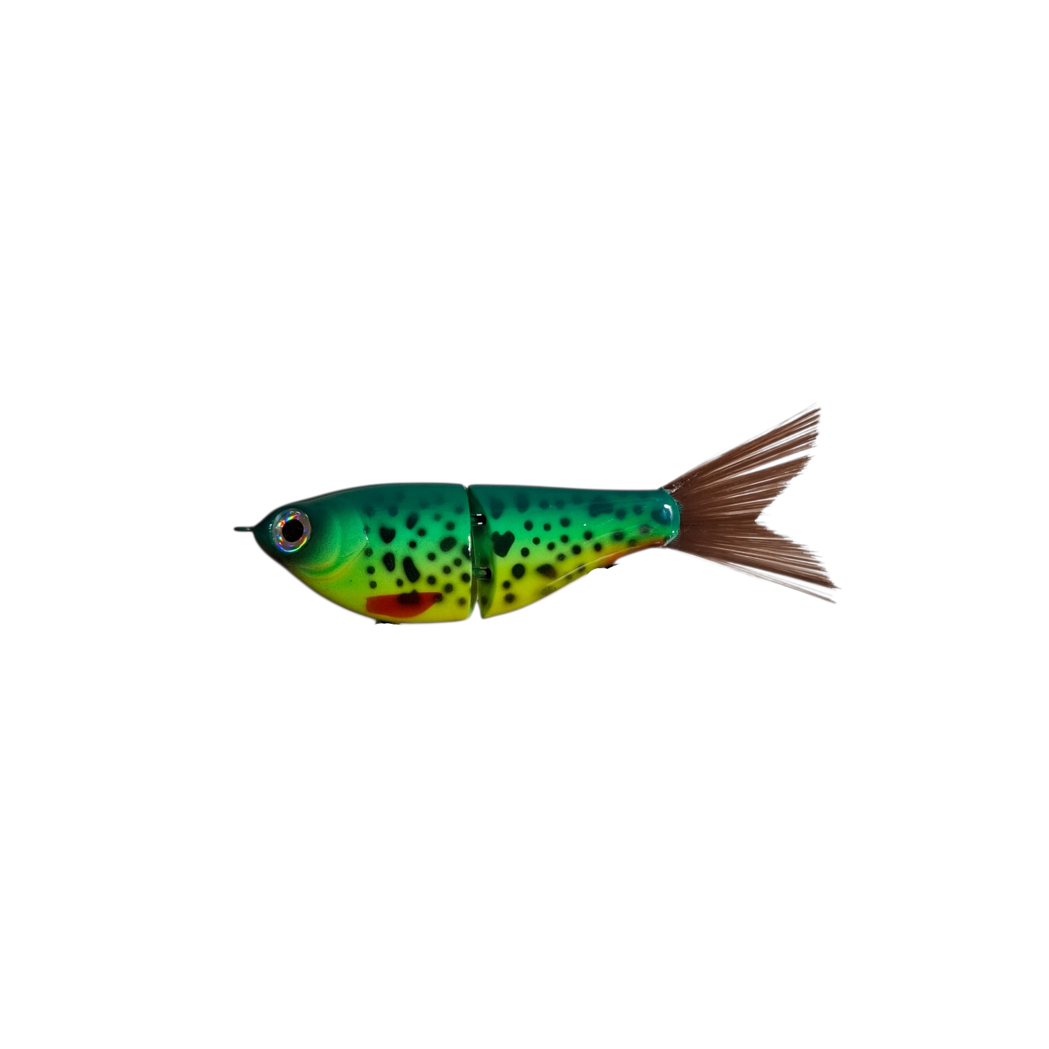 Lurepainter.nl - Brushtail Glider