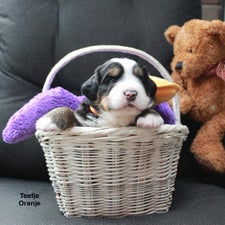 img_0090-standard.jpg