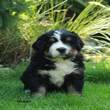 img_0127-standard.jpg