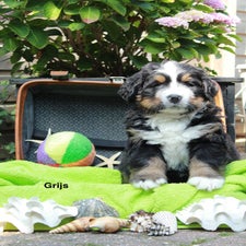 img_5030-standard-7intqf.jpg