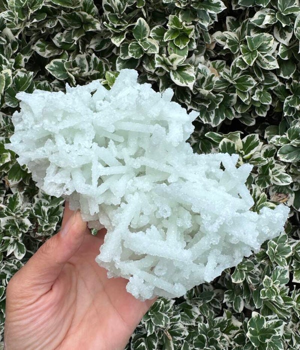 Prehniet Ruw – Zacht Aqua Groen | Edelsteen uit India ±16 cm
