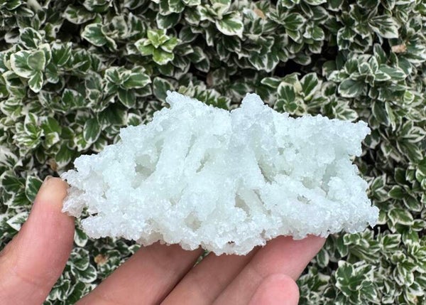 Prehniet Ruw – Zacht Aqua Groen | Edelsteen uit India ±10cm
