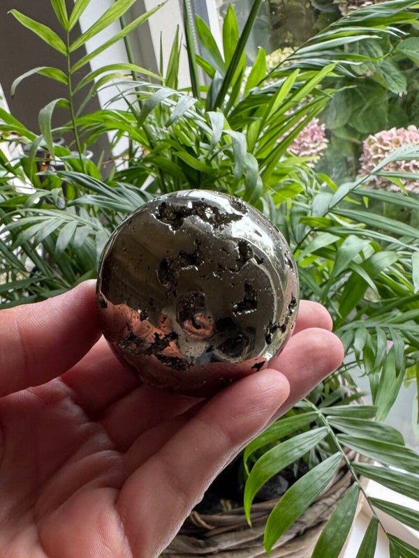 Pyriet Bol ±5 cm