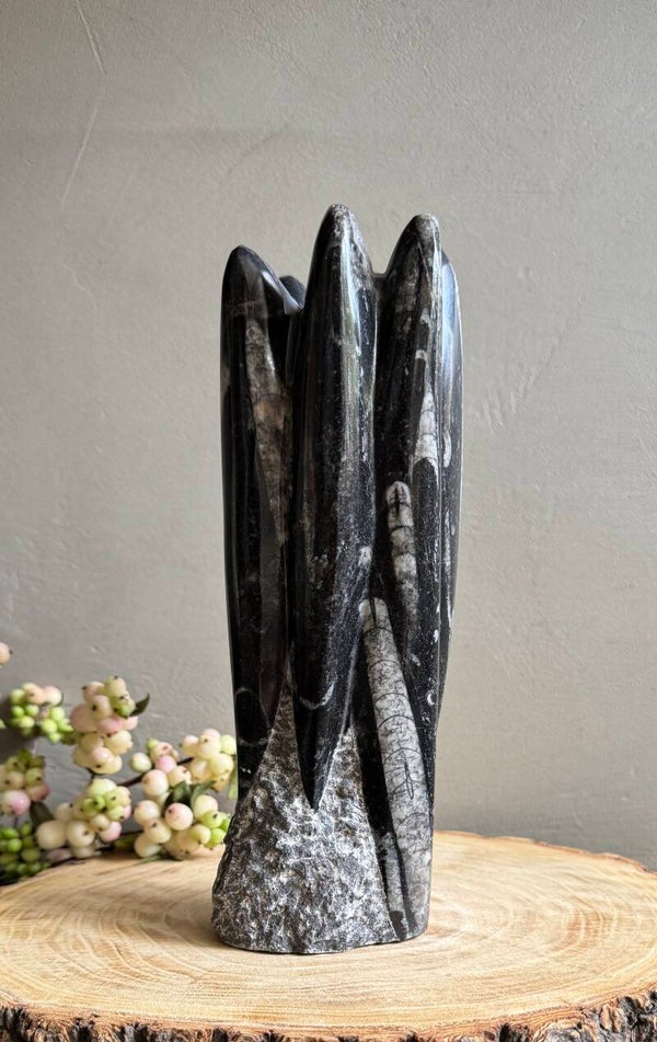 Orthoceras sculptuur 1181 gram
