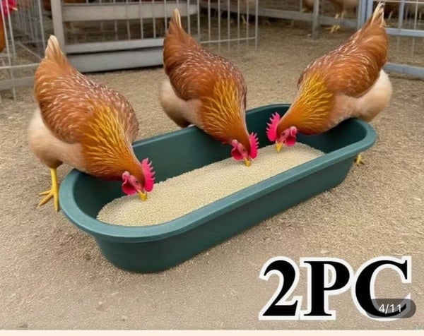 Poultry Feeding Trough