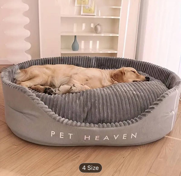 New Dog Bed