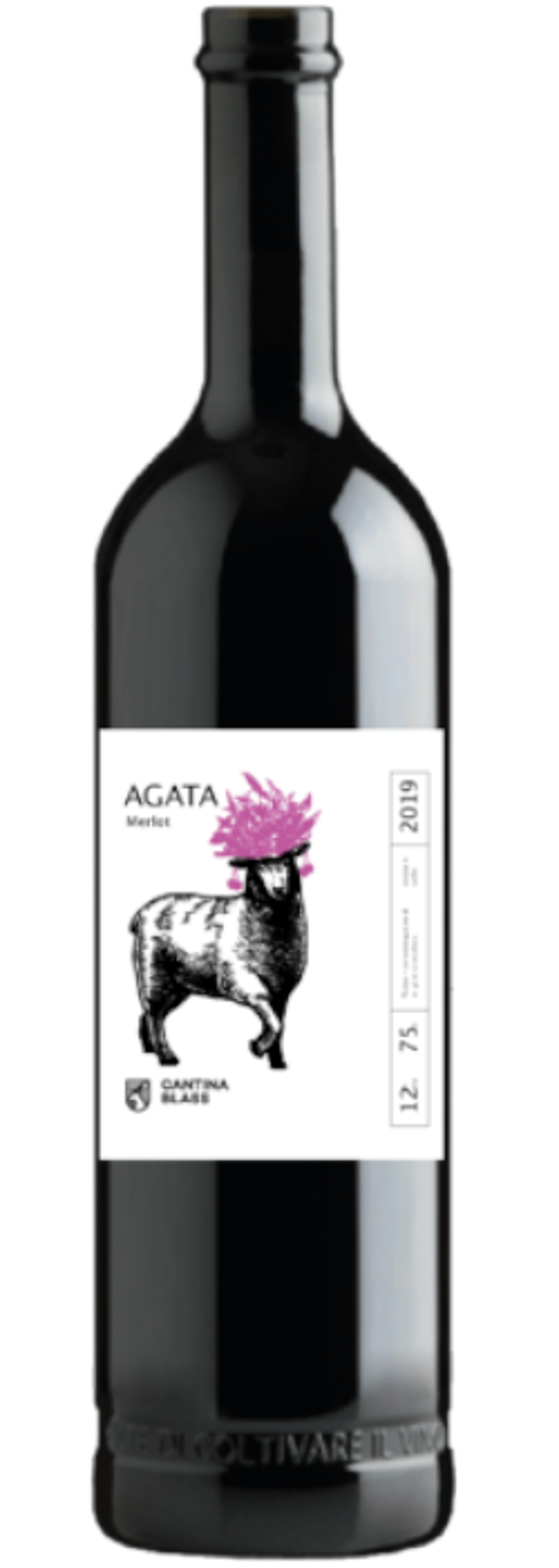 Cantina Blass, Agata 2024, Merlot Rosé