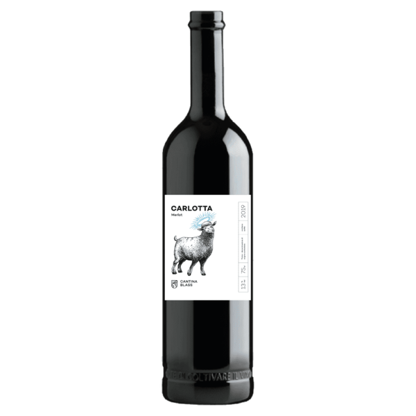 Cantina Blass, Carlotta 2024, Merlot