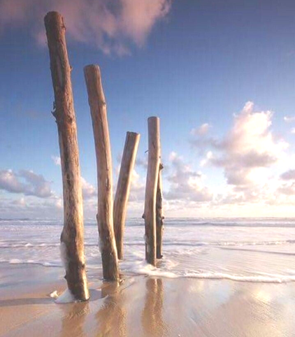 Bois plantés dans le sable dans la mer, sous un ciel bleu avec quelques nuages