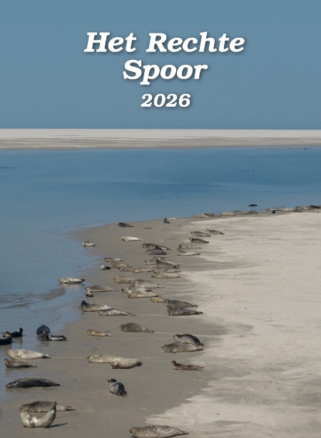 Het Rechte Spoor - 2026