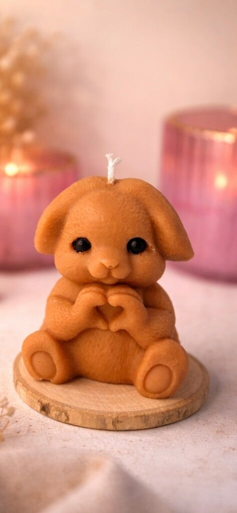 Heart Hands Bunny
