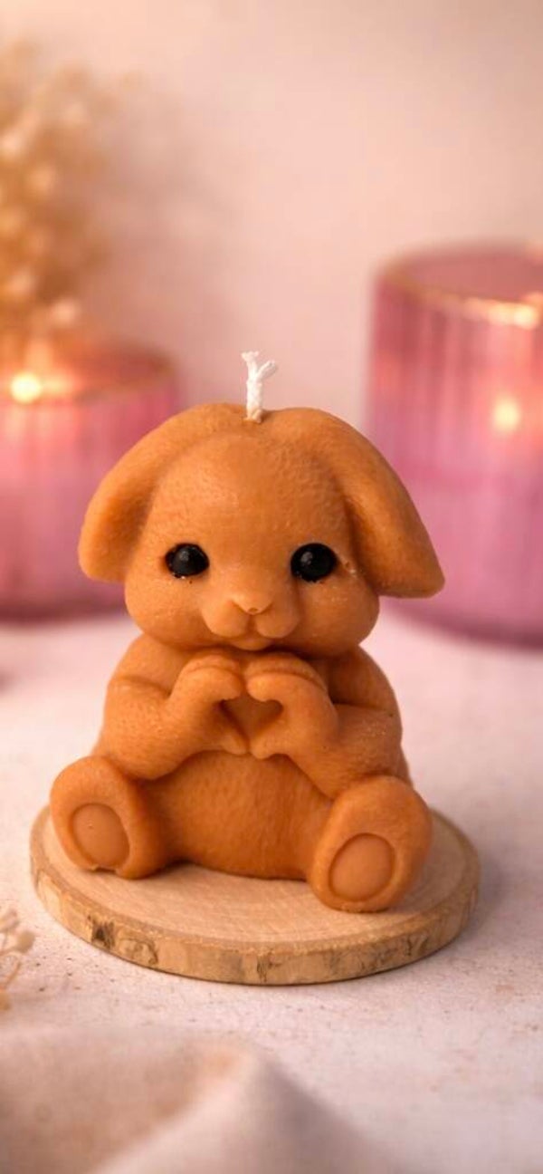 Heart Hands Bunny