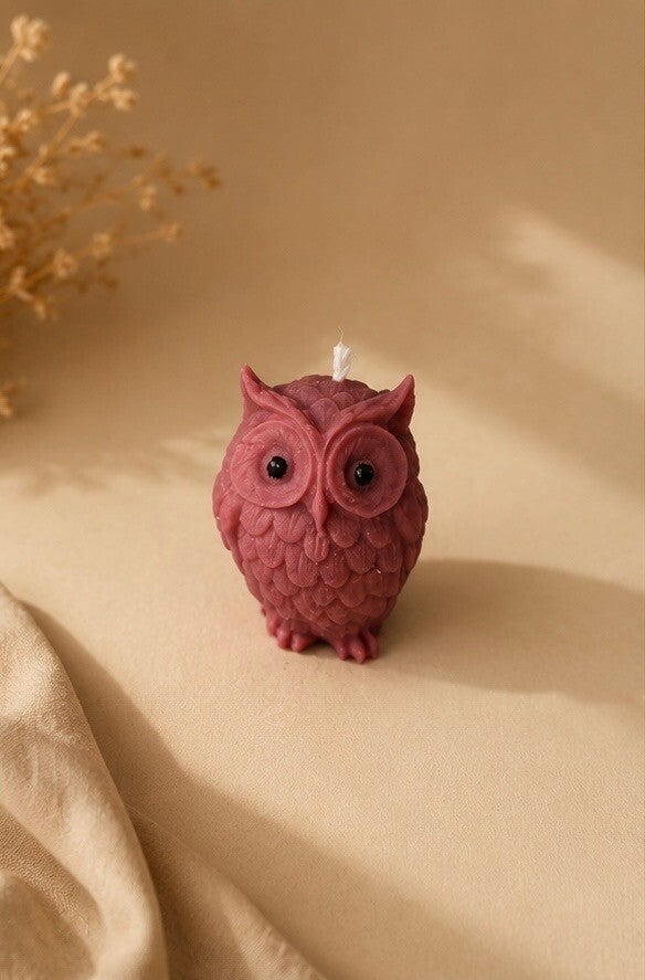Little Owl