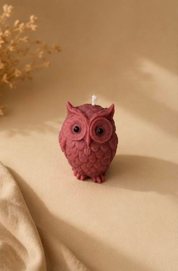 Little Owl