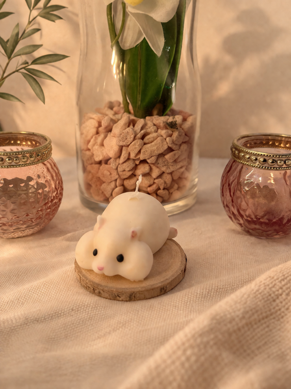 Lazy Hammy
