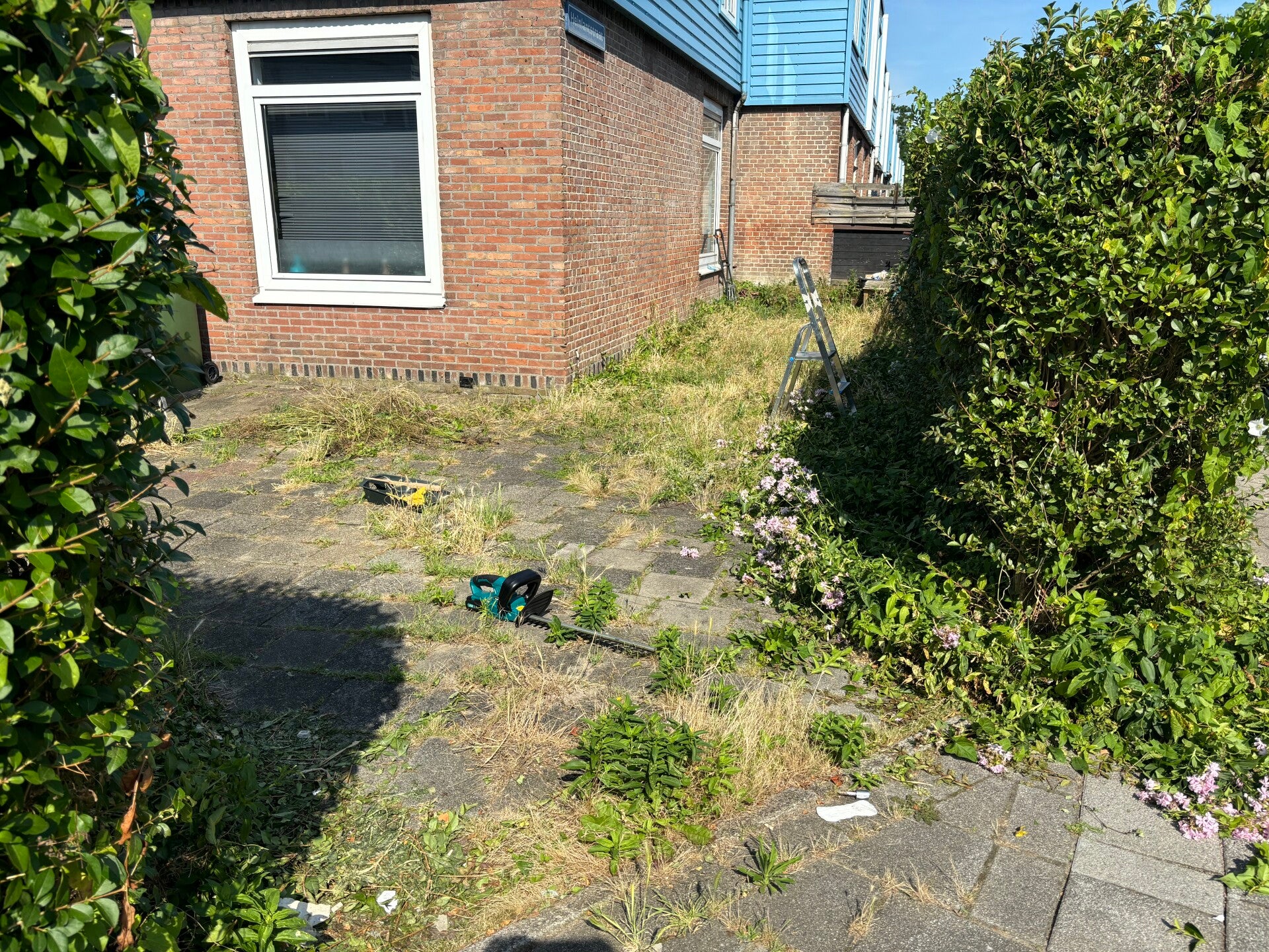 Onkruid verwijderen