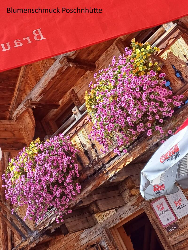 18-blumenschmuck-poschnh-tte-standard.jpg