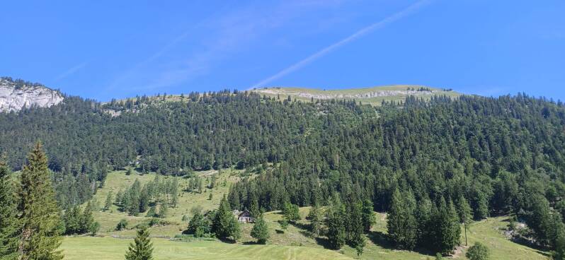 img-20260710-wa0004-standard-v0prs1.jpg