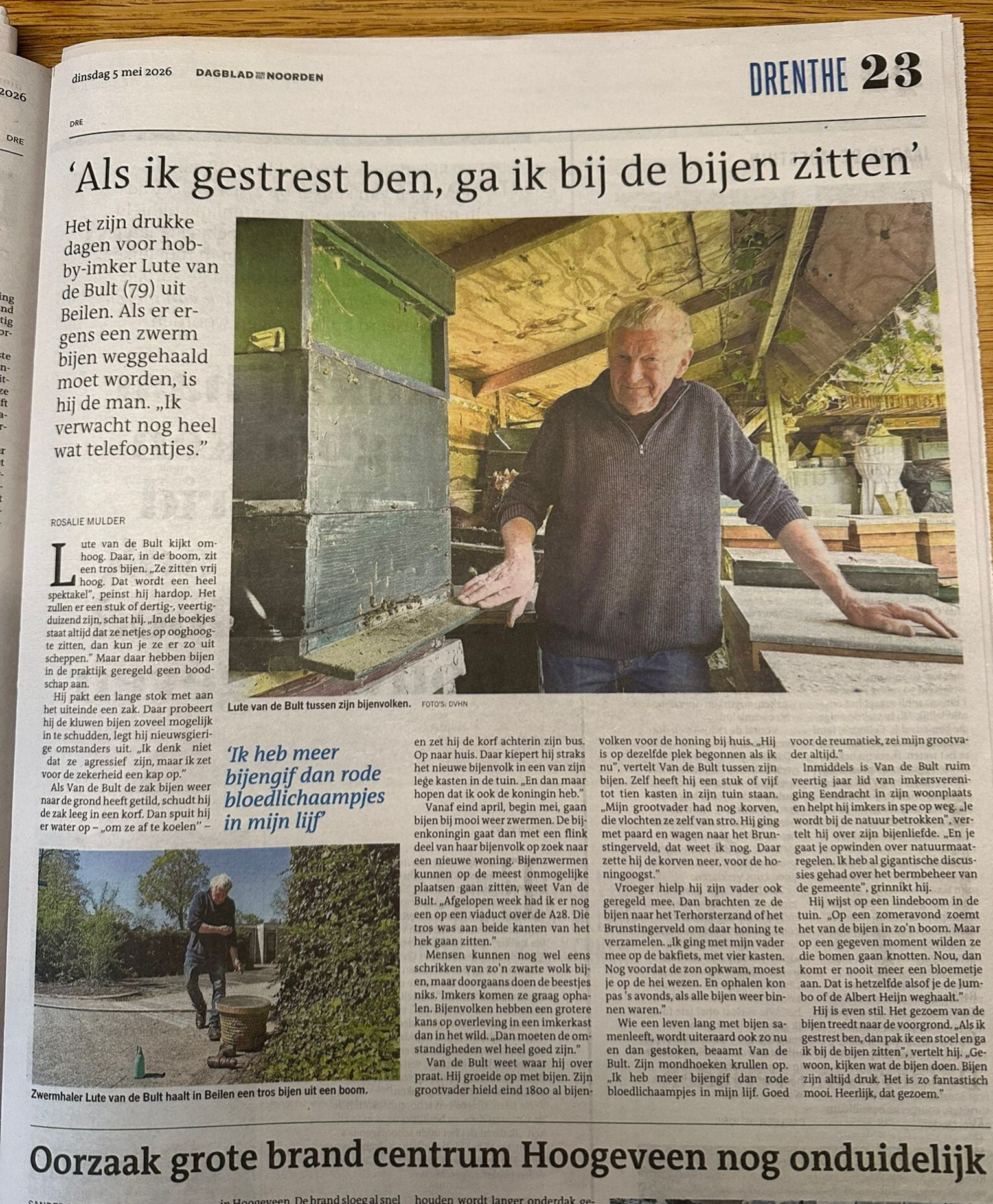 Lute in de krant