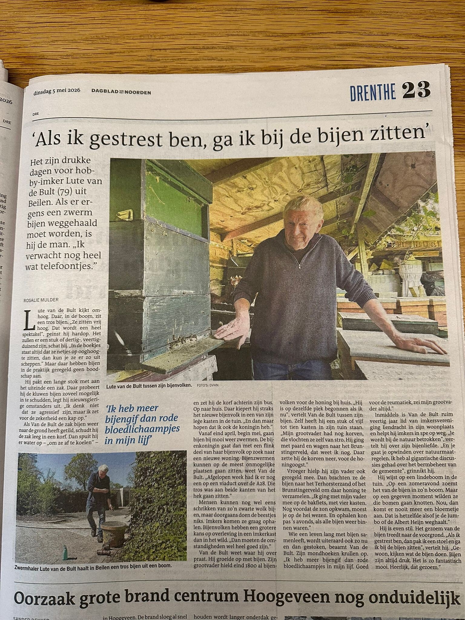 Lute in de krant