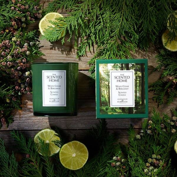 White Cedar & Bergamot Jar Candle
