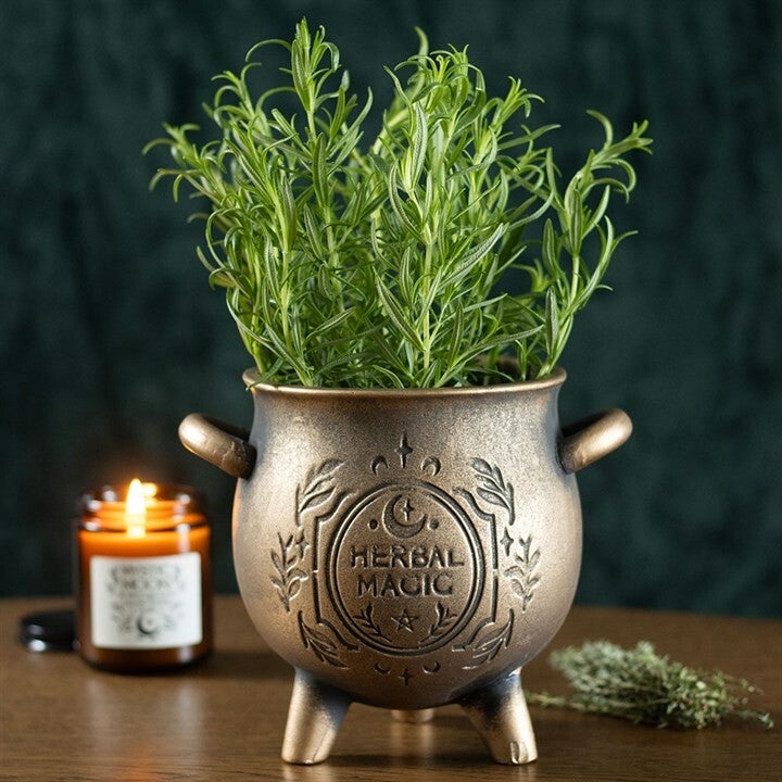 Herbal Magic Bronze Terracotta Plant Pot
