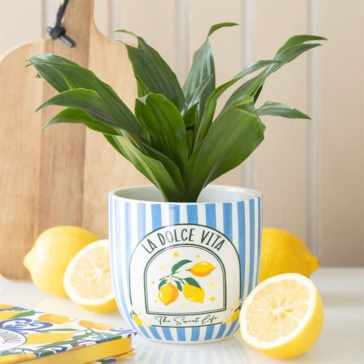 La Dolce Vita Blue Striped Plant Pot