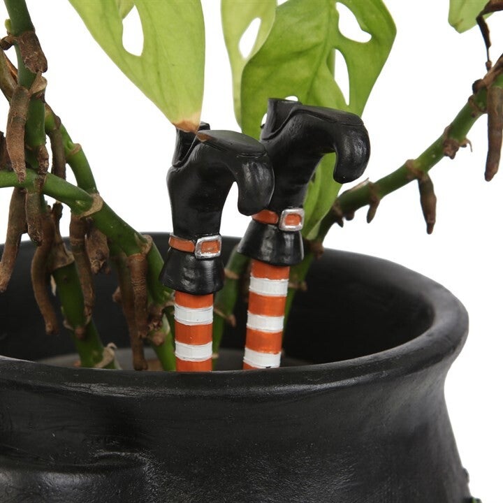 Set of Witch Leg Plant Pot Ornaments
