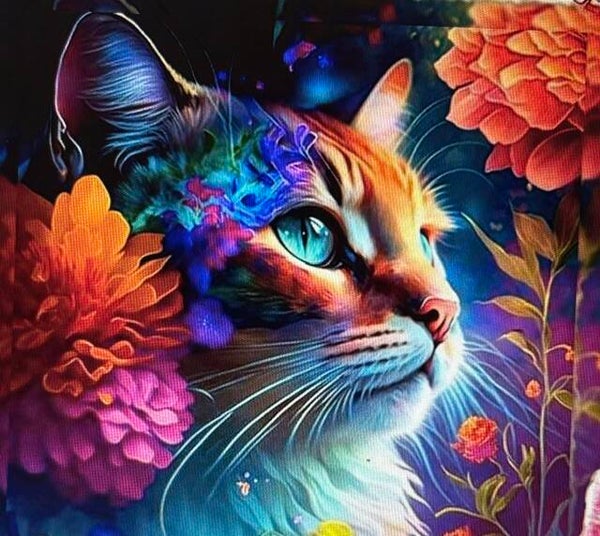 Whiskers in Bloom