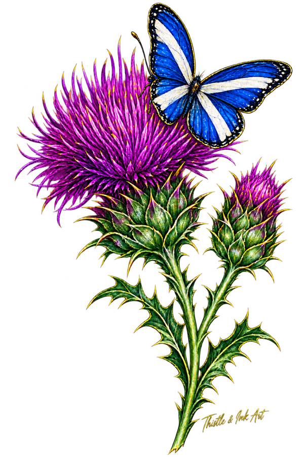 Wings of Scotland – Thistle & Saltire Butterfly T-Shirt