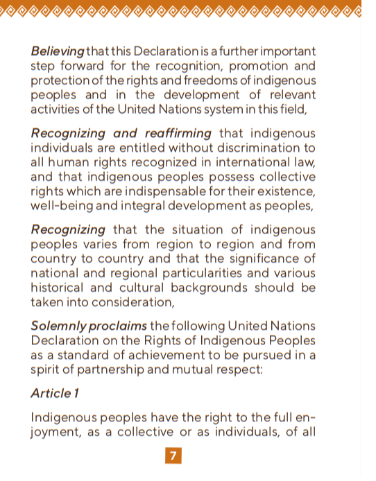 UN Declaration on Rights of Indigenous People / Common Law | CFS-resources