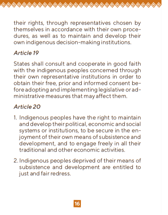 UN Declaration on Rights of Indigenous People / Common Law | CFS-resources