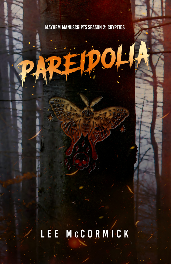 Pareidolia Hardback