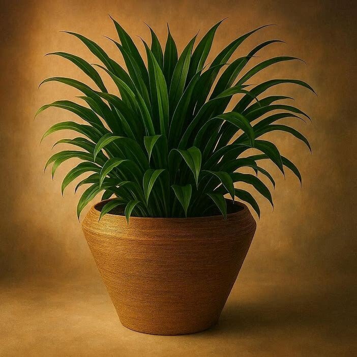 Colmore by Diga-vaas-Katoengoud M-Metaal-31x31x28cm