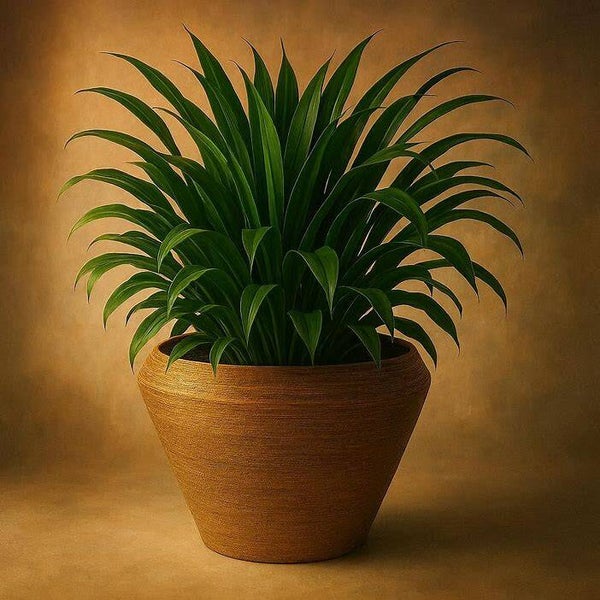 Colmore by Diga-vaas-Katoengoud M-Metaal-31x31x28cm