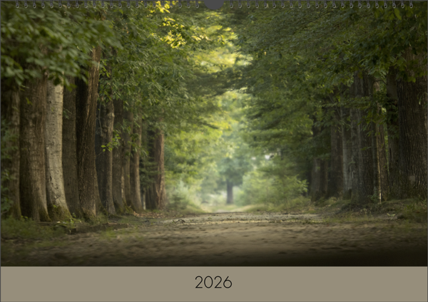 A3 Jaarkalender 2026