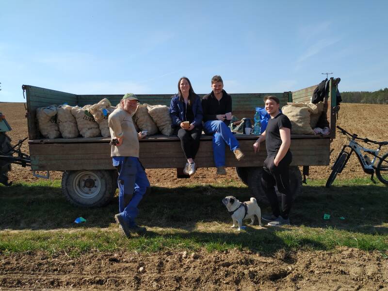 Saat ,Kartoffeln, bio, Flegler, Urphar, Ernte, Wertheim, Landwirtschaft, Bauernhof, Bioland